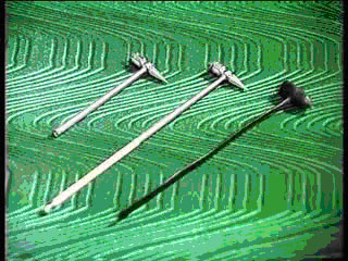 2010051206374329658.jpg